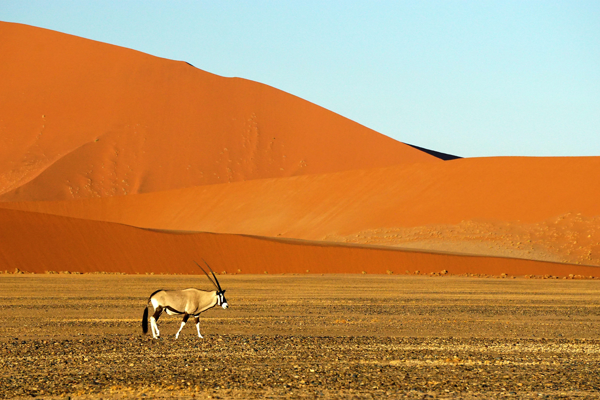 Namibia Desierto2