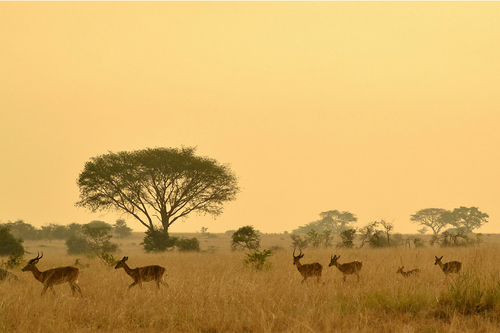 Masai Mara3