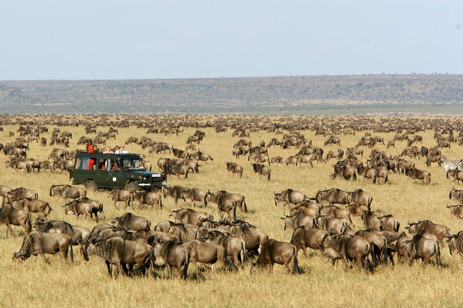 Masai-mara-5