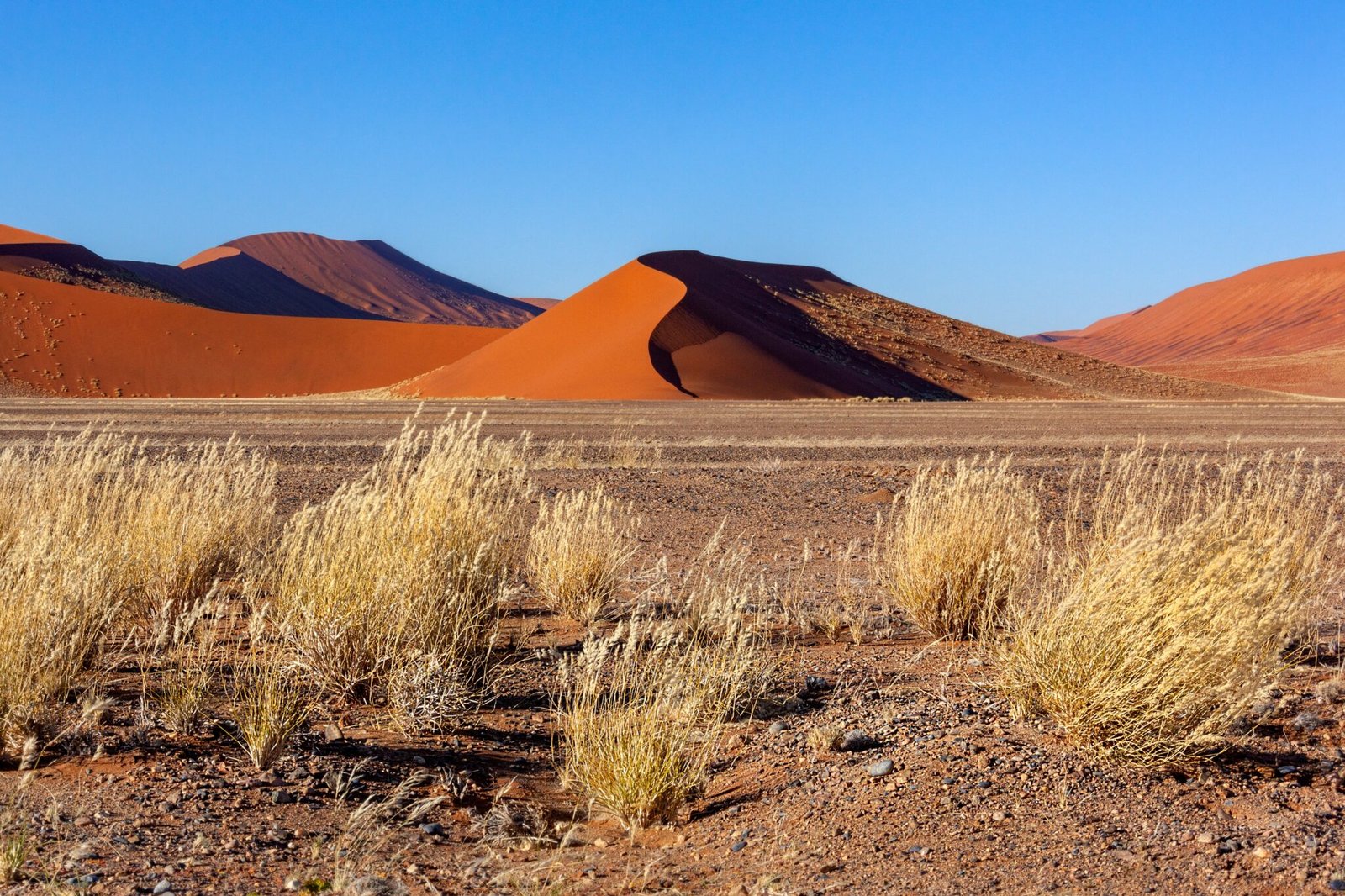 Sand Dune in early morning sunlight near Sossusvlei in the Namib Desert in Namibia, Africa.