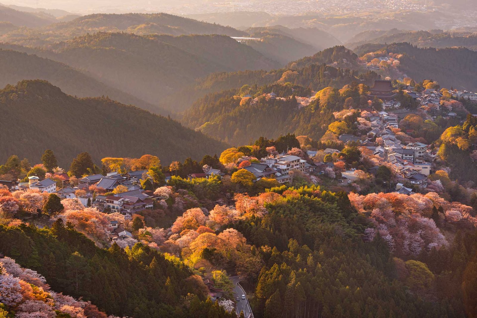 NARA_02