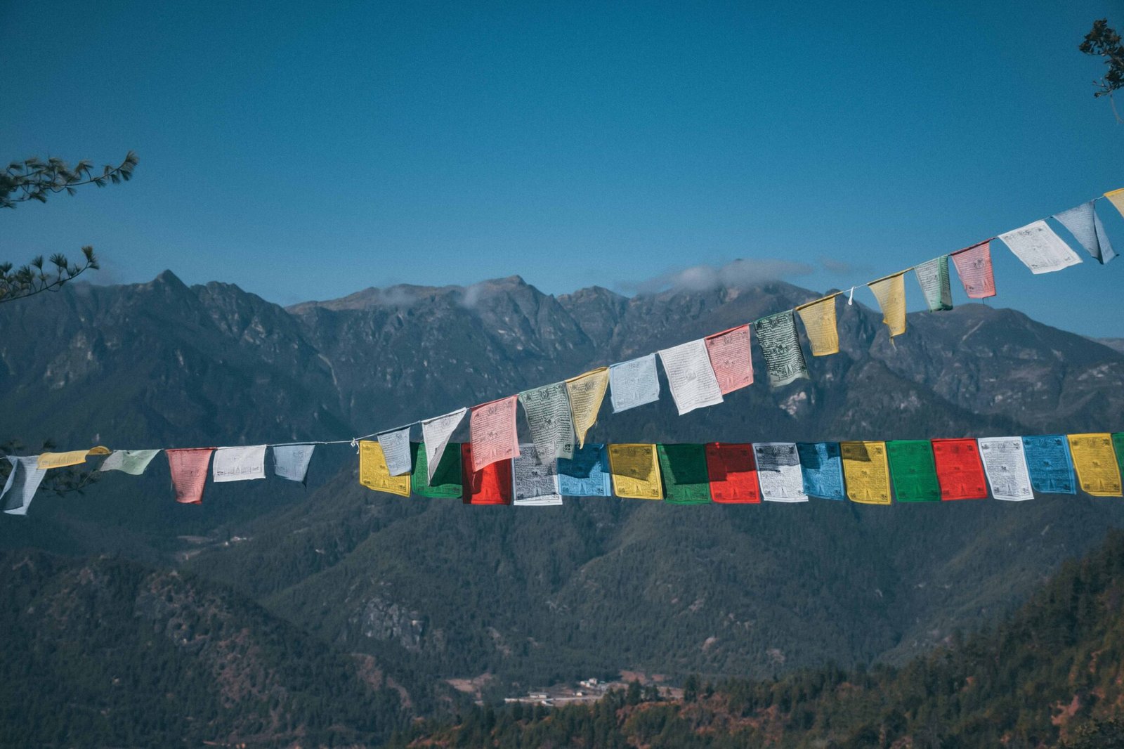 darpan-FbVAJN4AZgg-unsplash