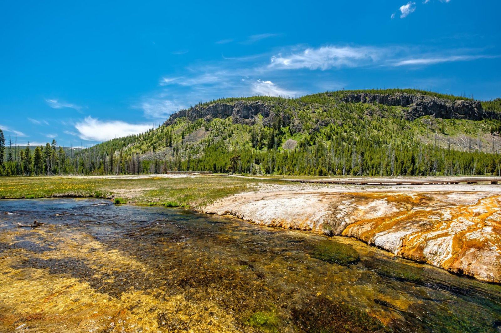 Iron Spring Creek in Yellowstone National Park, Black Sand Basin area, Wyoming, USA