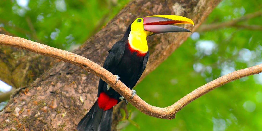 manuel_antonio-shutterstock-1116003809