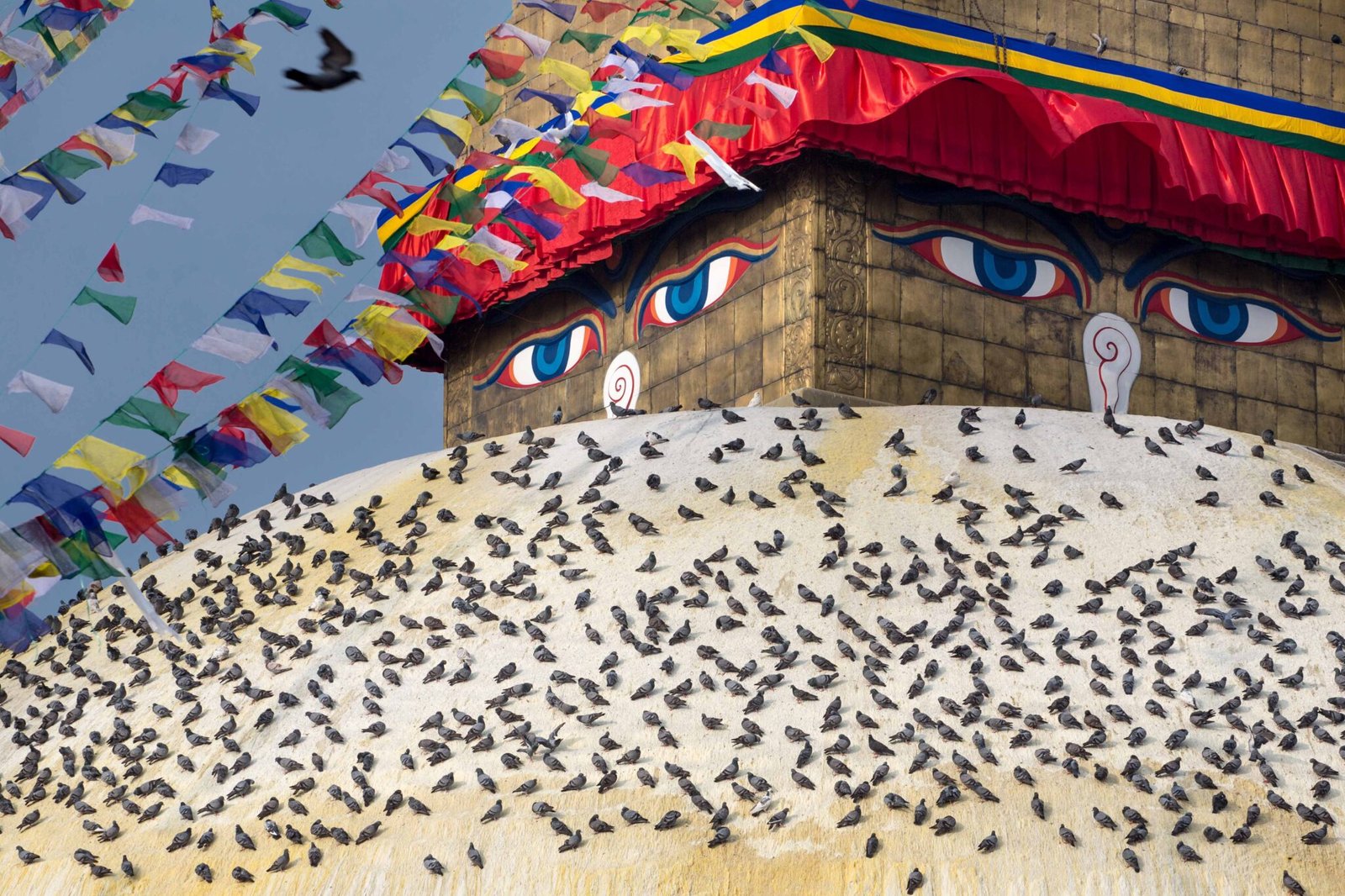 Crowding of pigeons flying over the great Bodhnath stupa in Kathmandu, Nepal.