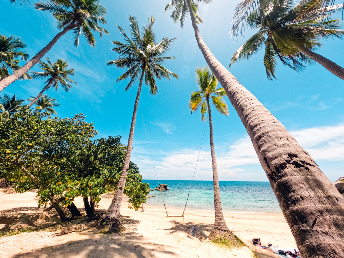 Coconut trees on the beach on a tropical island