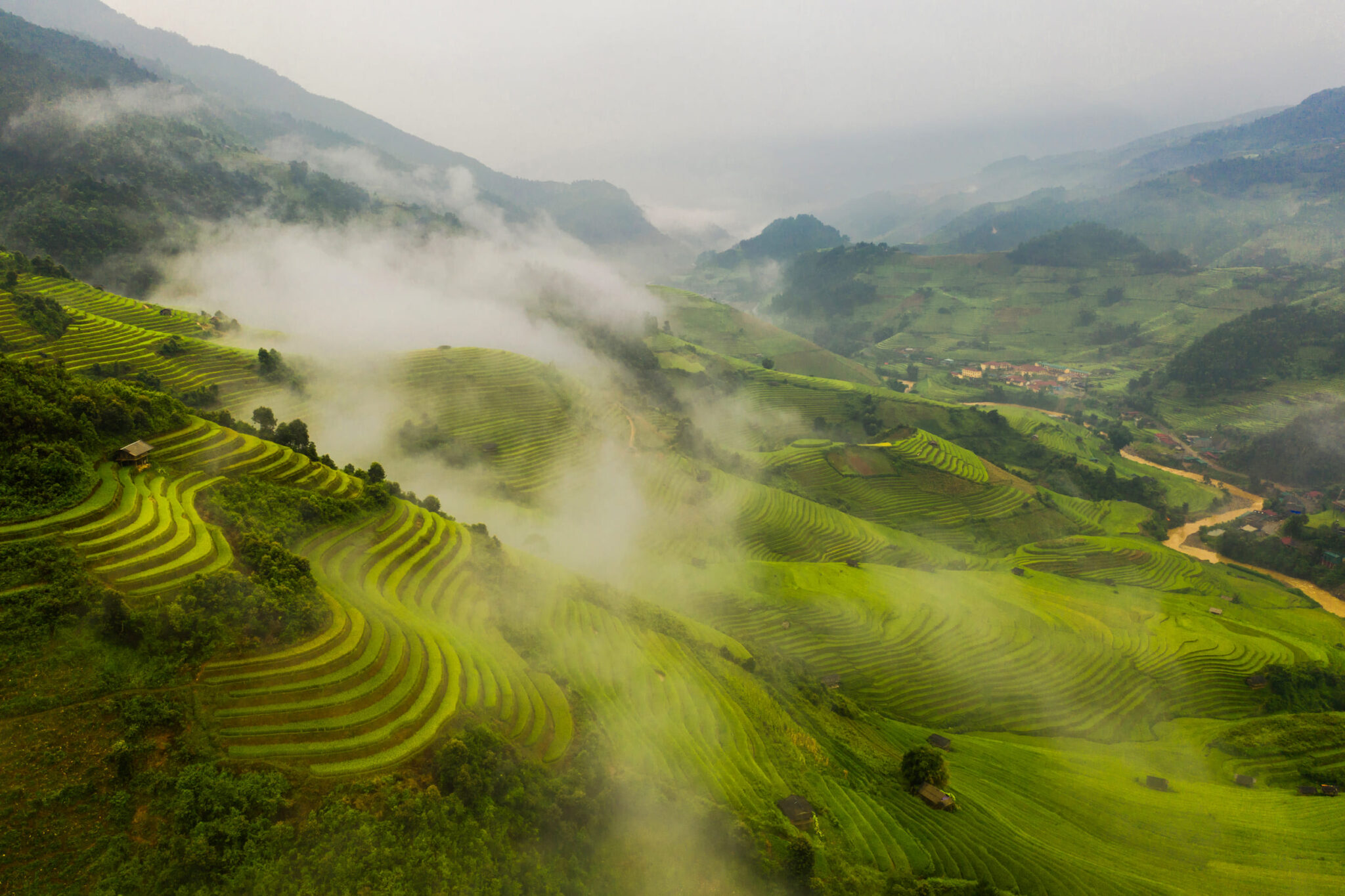 paddy-rice-terraces-green-agricultural-fields-in-2026-03-10-04-50-52-utc
